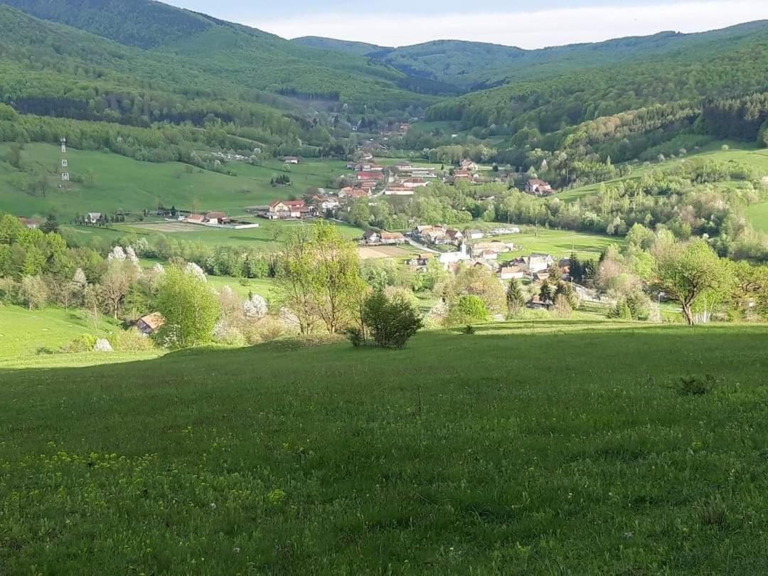 Гостевой дом Dobarlica Dobirlau Экстерьер фото