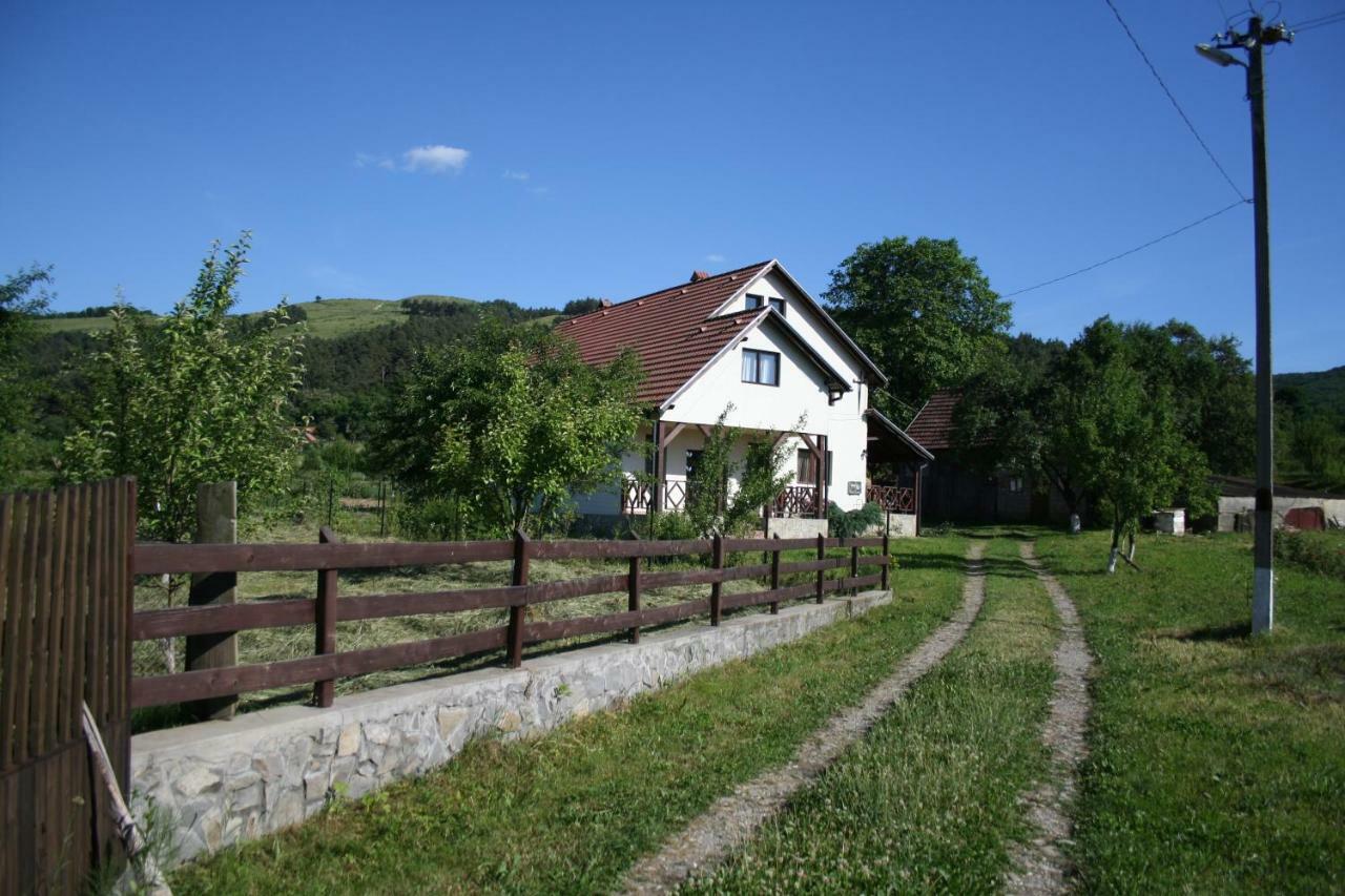 Гостевой дом Dobarlica Dobirlau Экстерьер фото